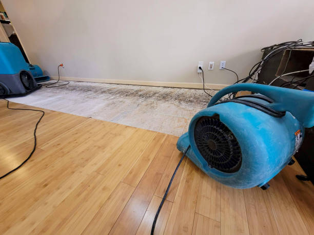 Professional Basement Flood Cleanup technician working in Dyer, TN